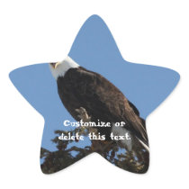 Screaming Eagle; Customisable