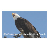 Screaming Eagle; Customisable