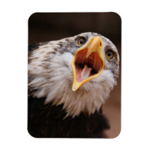 Screaming Eagle Flexible Magnet