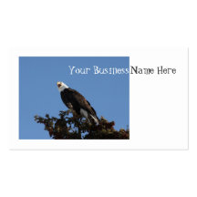 Screaming Eagle; Promotional Business Card
