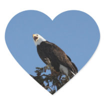 Screaming Eagle Stickers