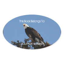 Screaming Eagle Oval Stickers