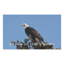 Screaming Eagle; Yukon Territory Souvenir Rectangular Stickers
