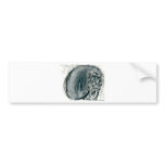 Screaming Grey Bumper Sticker