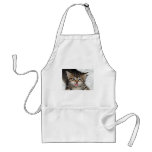 Screaming Kitty aprons