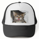 Screaming Kitty hats