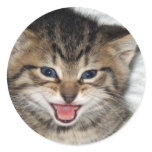 Screaming Kitty stickers