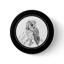 Screech Owl Button in pencil