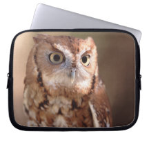 screech owl laptop computer sleeves