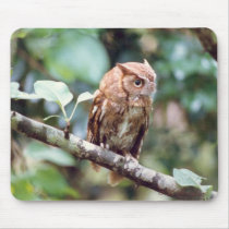 Screech Owl Mousepad