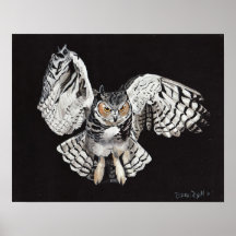 Screech Owl Print