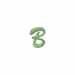 Script-Letter B Embroidered Hooded Sweatshirt