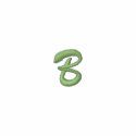 Script-Letter B embroidered shirts
