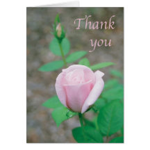 Scripture card - Thank You with light pink rose