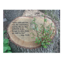 Scripture postcard