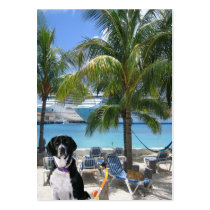 Scuba Dog "Imaginative" Trading Card