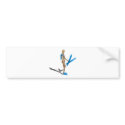 ScubaEquipmentSkiis030111 bumper stickers