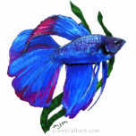 Sculpture - Betta Fish