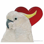 Sculpture - Cockatoo photo sculptures