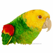 Sculpture - Double Yellow Headed Amazon