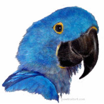 Sculpture - Hyacinth Macaw