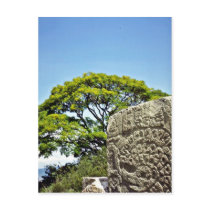 Sculpture Relief At Monte Alban Post Card