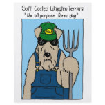SCWT Farm Dog flyers