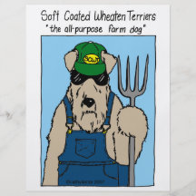 SCWT Farm Dog Flyers