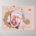 Se levanto blanco posters