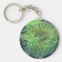 Sea Anemone Key Chains
