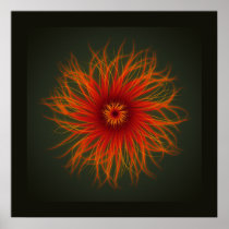 Sea Anemone - print