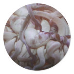 Sea anemone tentacle closeup sticker