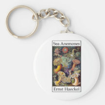 Sea Anemones by Ernst Haeckel Key Chains