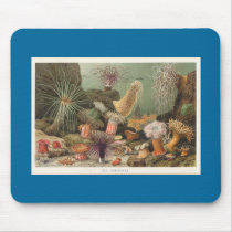 Sea Anemones Mouse Mat