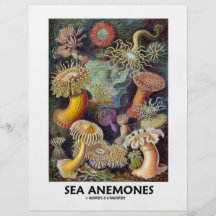 Sea Anemones Personalized Flyer