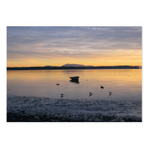 Sea Birds and Boat Business Card Template