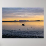 Sea Birds and Boat Print