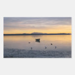 Sea Birds and Boat Stickers