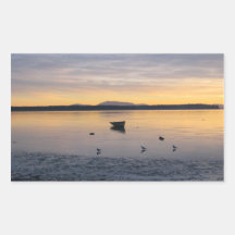 Sea Birds and Boat Stickers