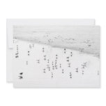 Sea Birds on the Beach Invitation