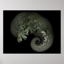 Sea Creature Print