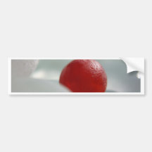 Sea Glass Marble Bumper Sticker