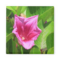 Sea Grape Flower Magnet
