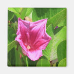Sea Grape Flower Magnet