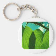Sea Grape shadow Key Chain