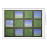 Sea Grass cards