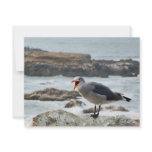 Sea Gull Invite invitations