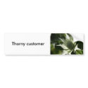 Sea Holly bumper stickers