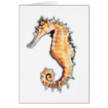 Sea horse cards