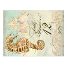Sea Horse Coastal Beach - Table Number Postcard